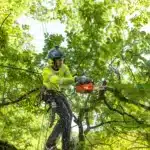 Echo CS-2511TES Chainsaw