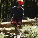 Echo CS 4010 Chainsaw